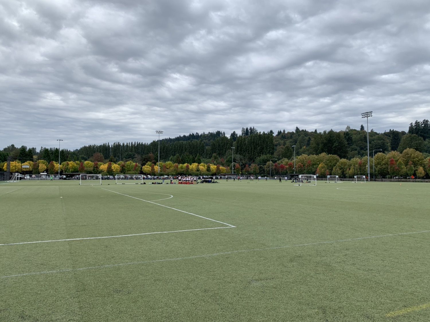 Soccer Sunday