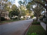 Our Street in December